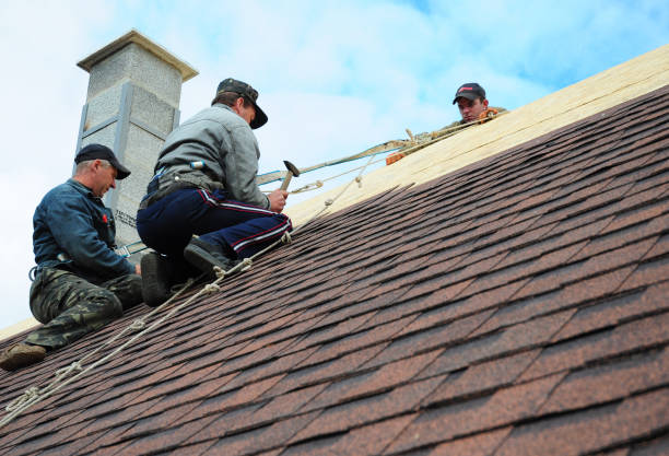 Best Local Roofing Companies  in St Leon, IN